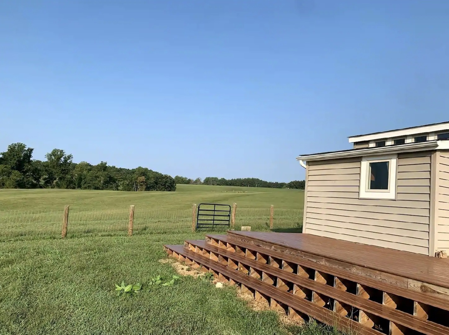 Merino Matron Sheep Farm Air BnB - Farm stay amongst the sheep